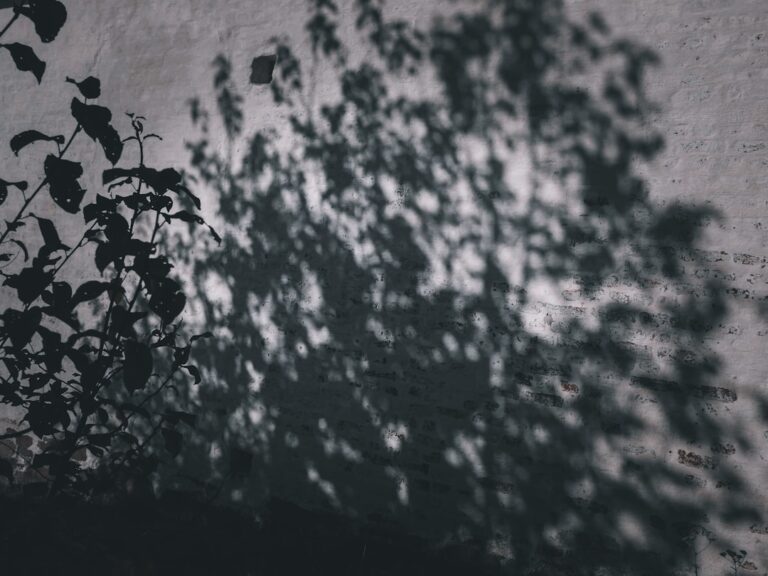 Jak budować pewność siebie u dziecka – proste zasady wspierania