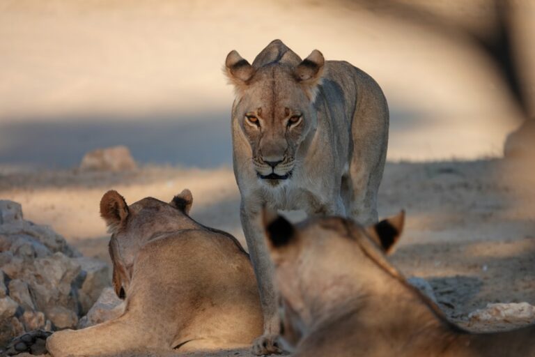 Jak radzić sobie ze złością – ćwiczenia dla rodziców i dzieci