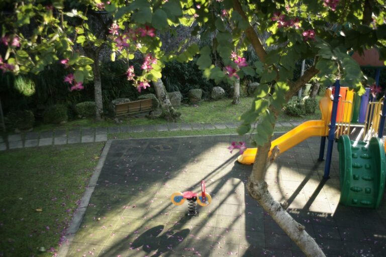 Jakie zabawki do ogrodu wybrać, aby rozruszać całą rodzinę